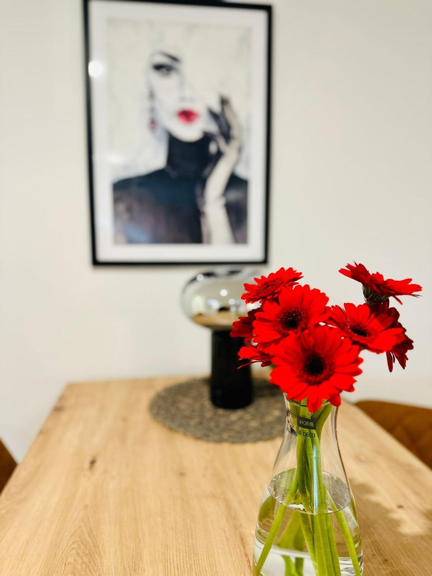 Lous Ferienwohnung Thale Εξωτερικό φωτογραφία